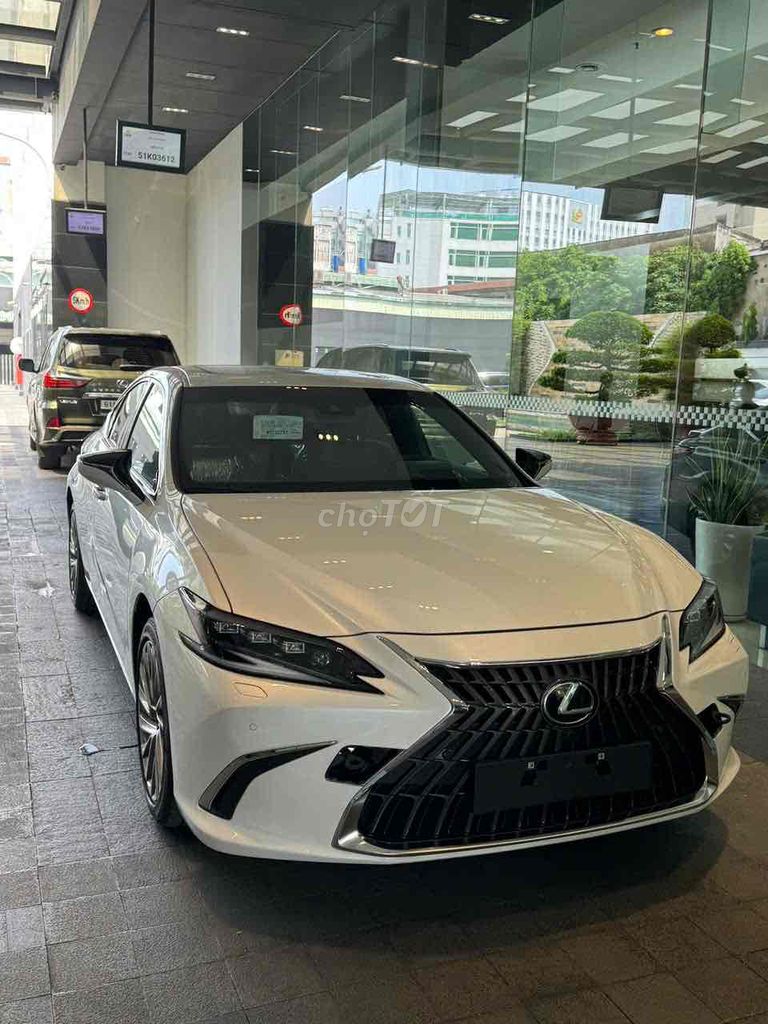 Ảnh số 2