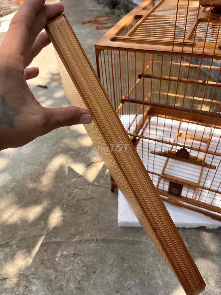 Vuông cao tre già kéo tia. Mua bán Chim tại Huyện Bình Chánh Tp Hồ Chí Minh được đăng bởi Bc hình 1