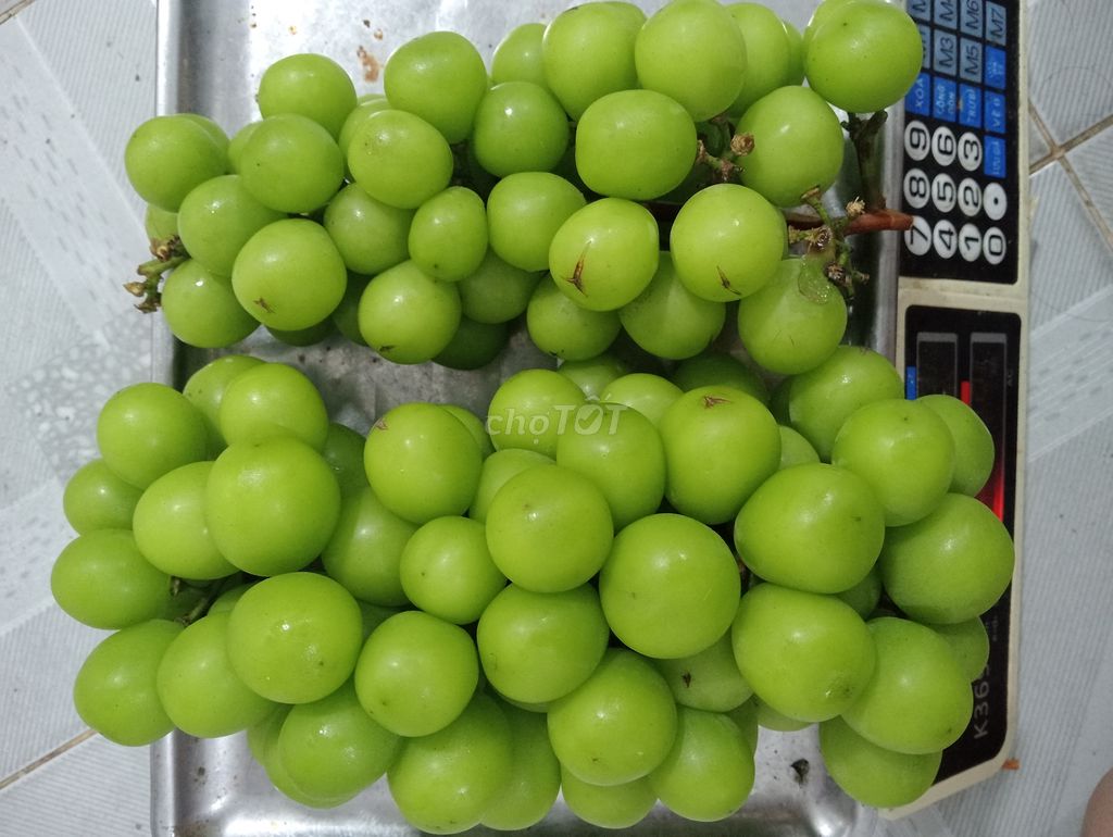 110k em còn 2kg nho mẫu đơn như hình