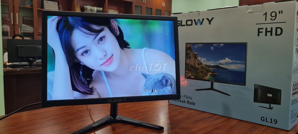 LCD 19 GLOWAY 19IN Chính hãng