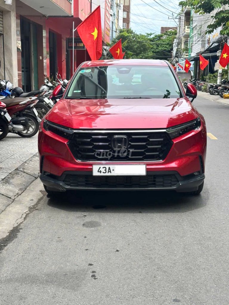 Ảnh số 2