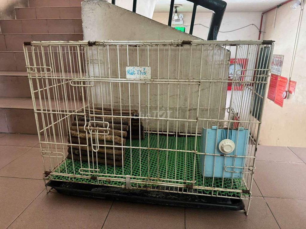 Chuồng thú cưng Kim loại sơn tĩnh điện rắng. Mua bán Phụ kiện, Thức ăn, Dịch vụ tại Quận 3 Tp Hồ Chí Minh được đăng bởi Ngo Phat hình 1