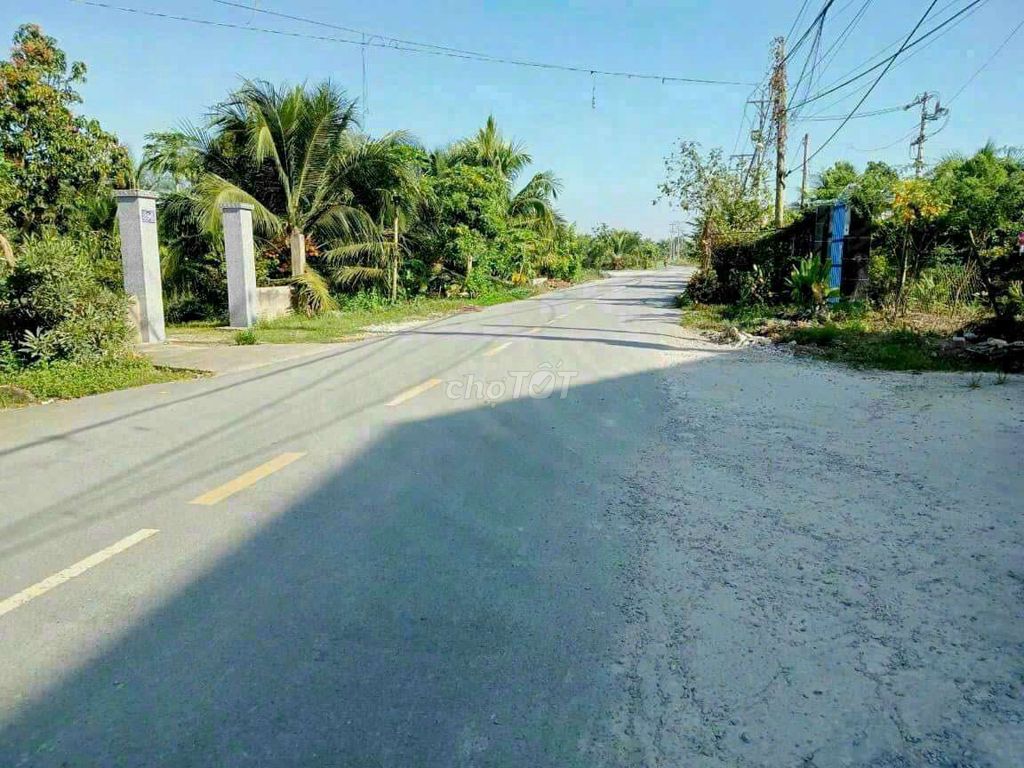 Đất Mt đường Phạm Văn Ngô, P Tân Khánh, TP Tân An (cách vành đai 1 km)