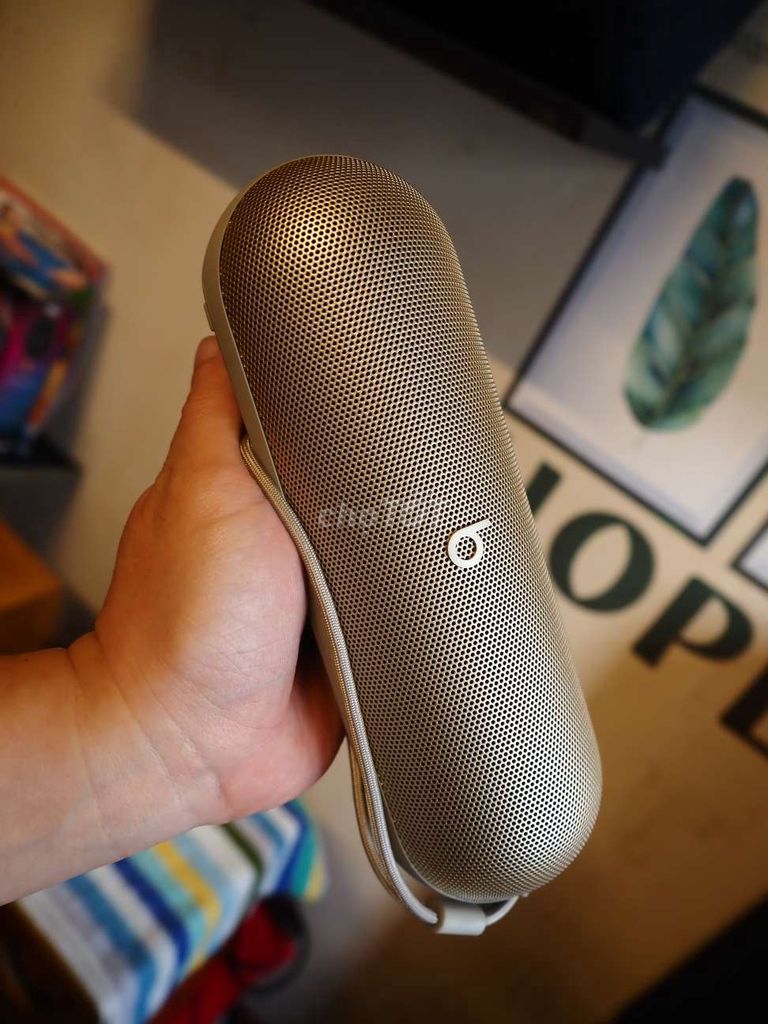 Loa bluetooth Beats Pill,Bose Flex 2 (Màu hiếm).