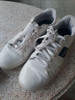 Giày lacoste real. Mua bán Giày dép tại Thành phố Mỹ Tho Tiền Giang được đăng bởi Minh