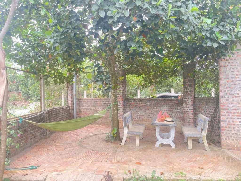 CHÍNH CHỦ BÁN NHÀ VƯỜN BA VÌ – 1.700M², CÓ 200M² THỔ CƯ. Mua bán nhà ở tại Huyện Ba Vì Hà Nội được đăng bởi Lại Thanh Tuấn hình 1