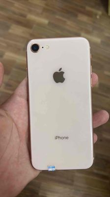 Apple iPhone 8 Vàng hồng Đã sử dụng