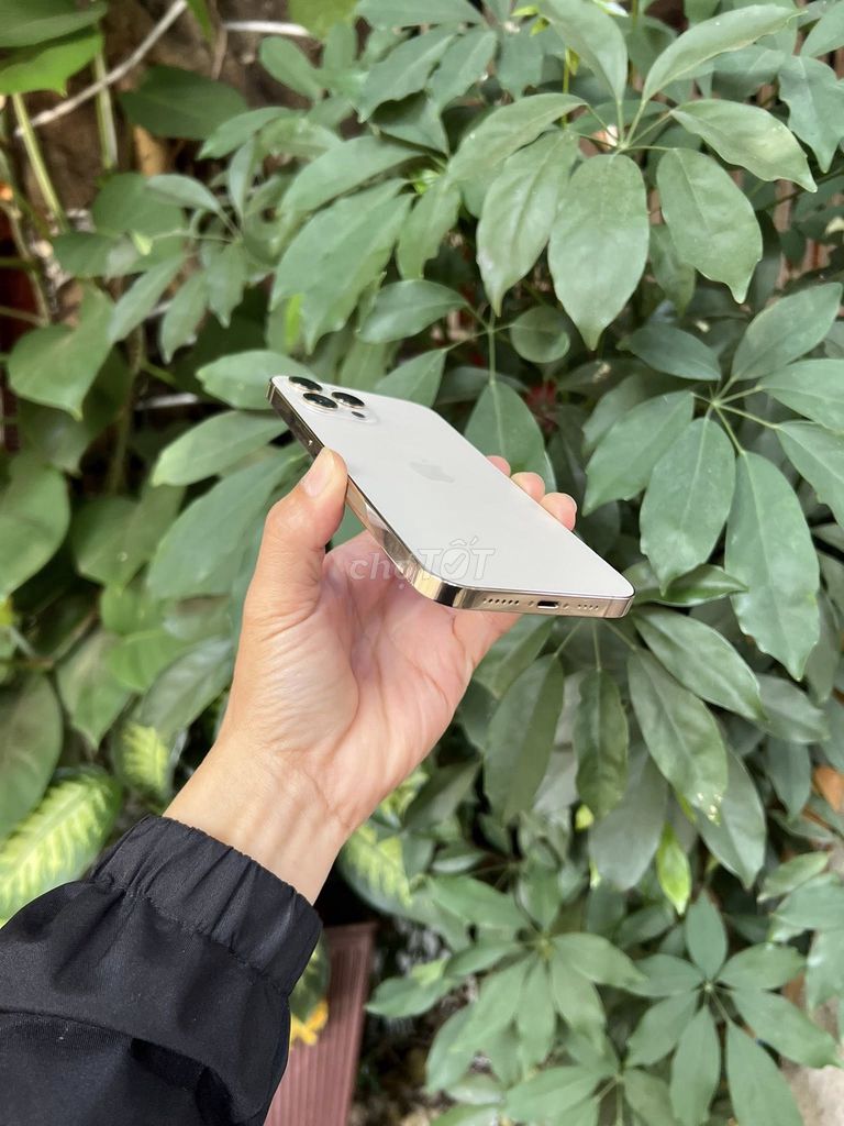 Ban Iphone 12Promax 128G Zin all. Mua bán Điện thoại tại Thành phố Buôn Ma Thuột Đắk Lắk được đăng bởi le hình 1