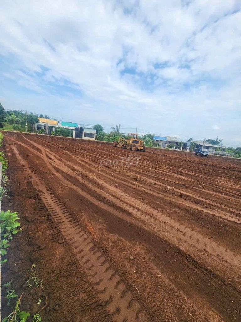🔥 ĐẤT RẺ CÓ THẬT SỰ LÀ ĐẤT TỐT?
