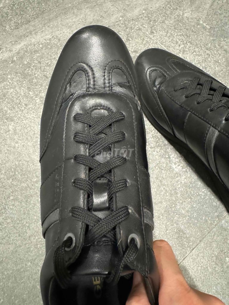 Giày Sneaker Geox da xịn