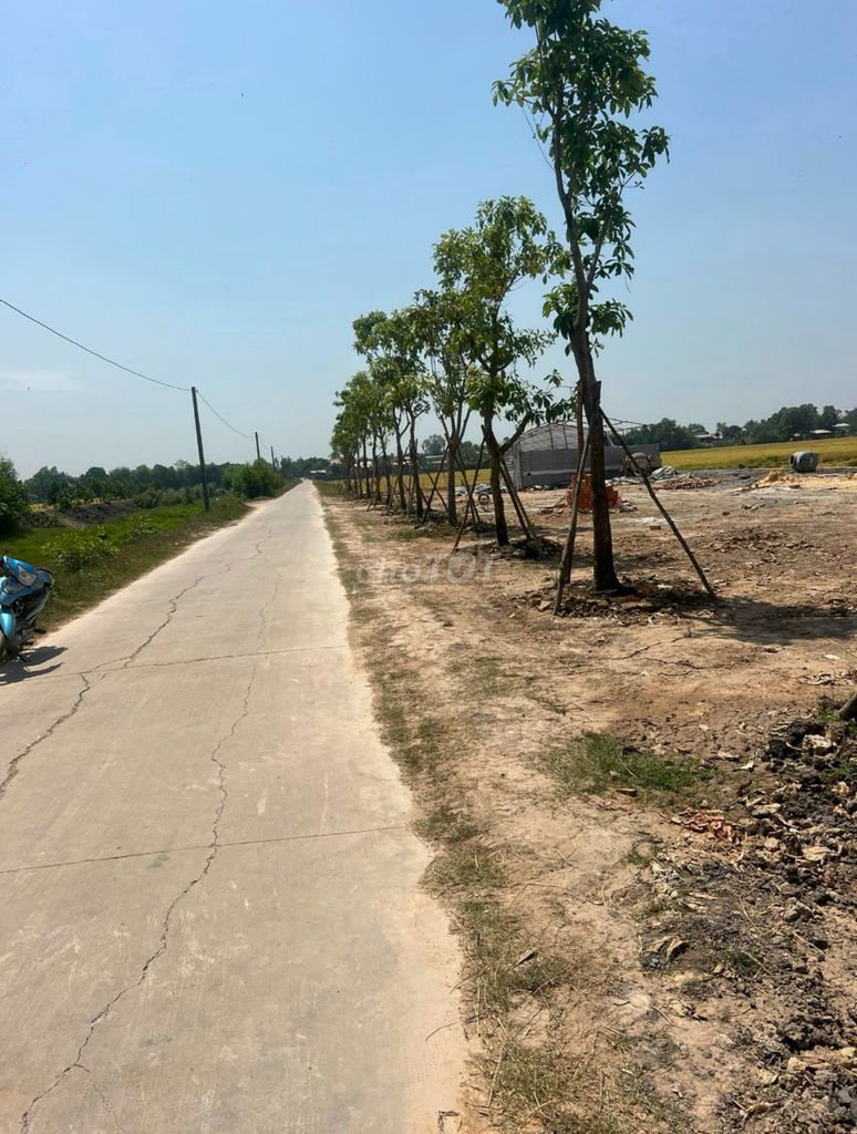 Đất thổ cư 10 m x 25m full thổ, giá 500 tr