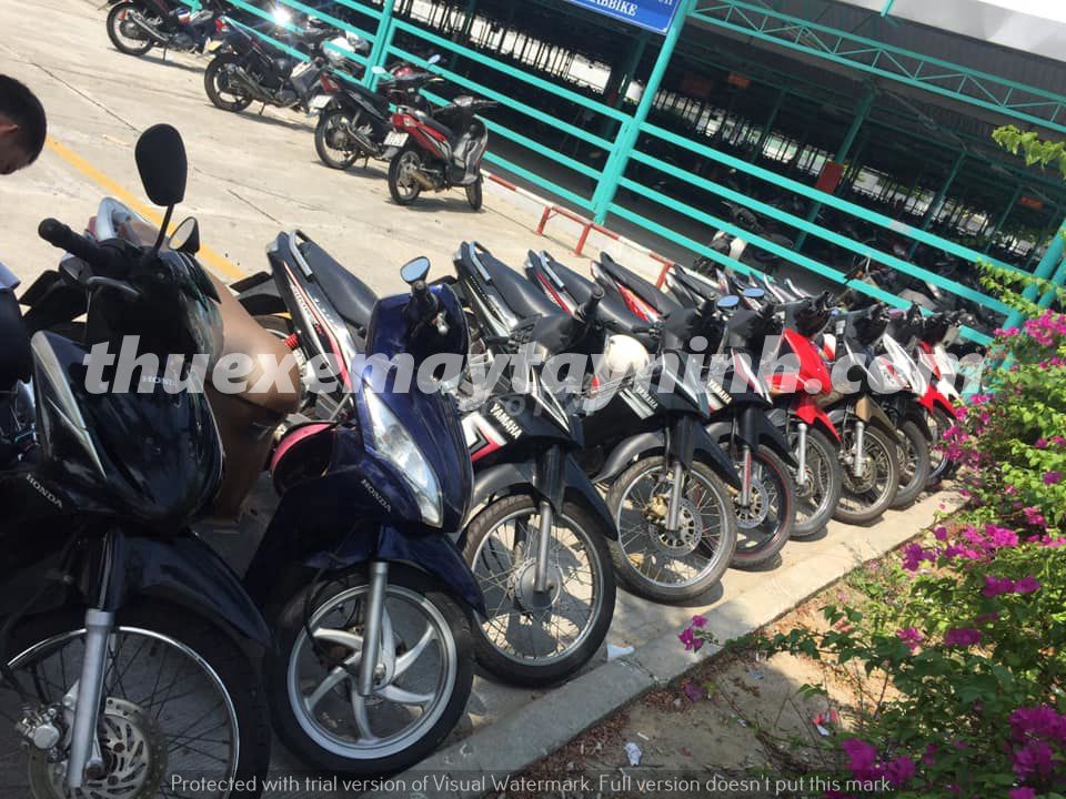 Thuê Xe Máy Hòa Thành Giá Rẻ Uy Tín Nhiệt Tình. Dịch vụ tại Huyện Hòa Thành Tây Ninh được đăng bởi Đặng Lý Bằng hình 1