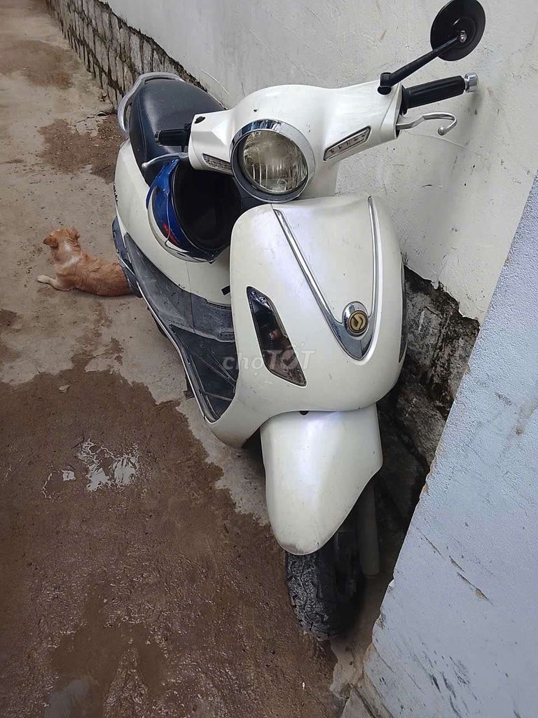 Bán xe Elizabeth có giấy. Mua bán Xe máy tại Thành phố Nha Trang Khánh Hòa được đăng bởi TVT hình 1