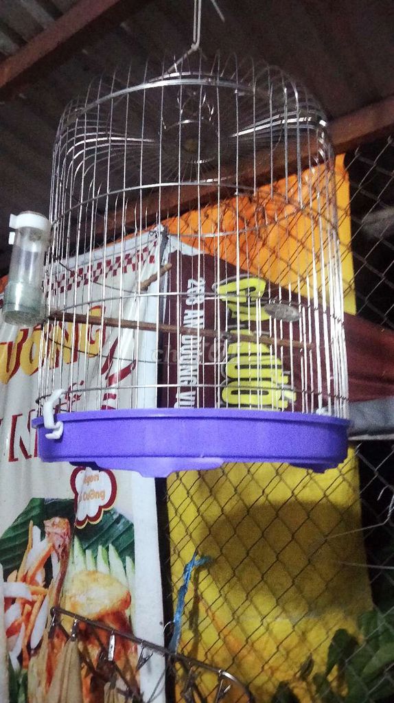 Lồng chim Inox Mới. Mua bán Phụ kiện, Thức ăn, Dịch vụ tại Huyện Nhà Bè Tp Hồ Chí Minh được đăng bởi Dũng hình 1