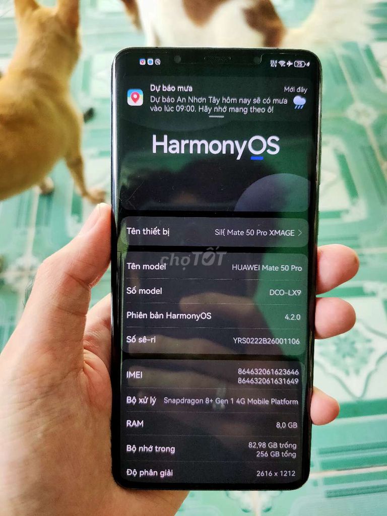Huawei Mate 50 Pro Đen 8GB/256GB 96%. Mua bán Điện thoại tại Huyện Củ Chi Tp Hồ Chí Minh được đăng bởi Nguyễn Minh Hậu hình 1