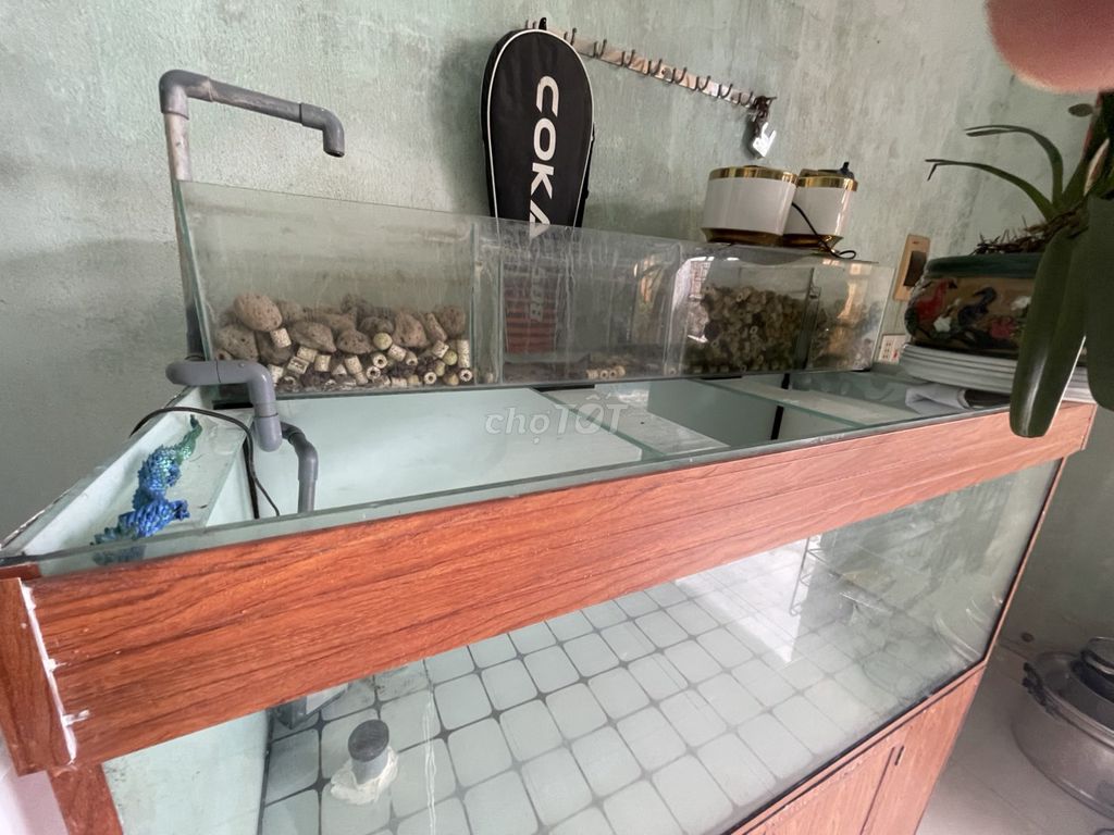 hồ nuôi cá rồng. Mua bán Phụ kiện, Thức ăn, Dịch vụ tại Quận Ngũ Hành Sơn Đà Nẵng được đăng bởi phat hình 1