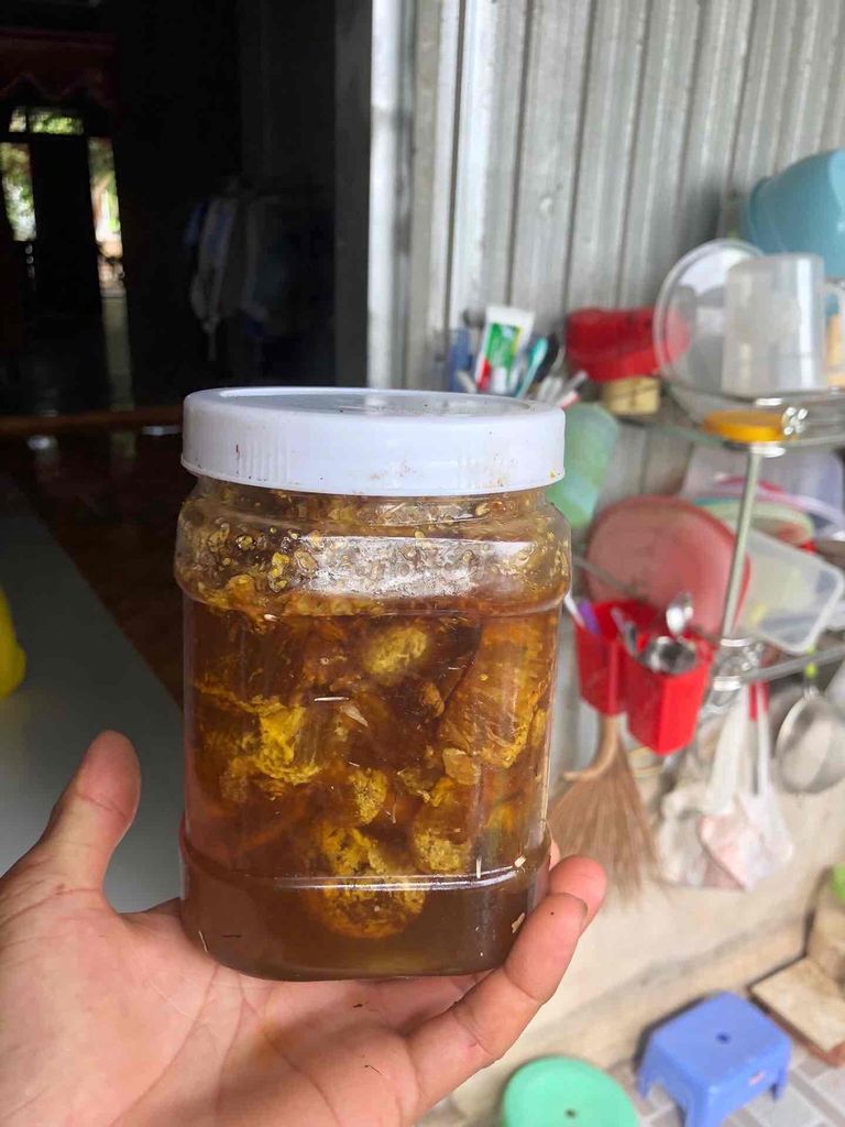 mật ong thiên nhiên. Mua bán Đồ ăn, thực phẩm và các loại khác tại Huyện Cờ Đỏ Cần Thơ được đăng bởi Hữu Thừa  hình 3