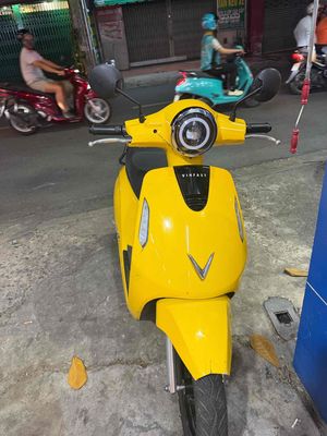 EVO 200 LITE 2024 Vàng