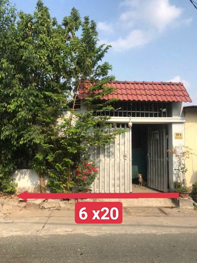 12-МЕТРОВЫЙ БИЗНЕС-ДОМ НЕДАЛЕКО ОТ ВЬЕТНАМСКОГО РЫНКА ДОЛЖЕН БЫТЬ ПРОДАН НА СУММУ БОЛЕЕ 690 МИЛЛИОНОВ ДОЛЛАРОВ