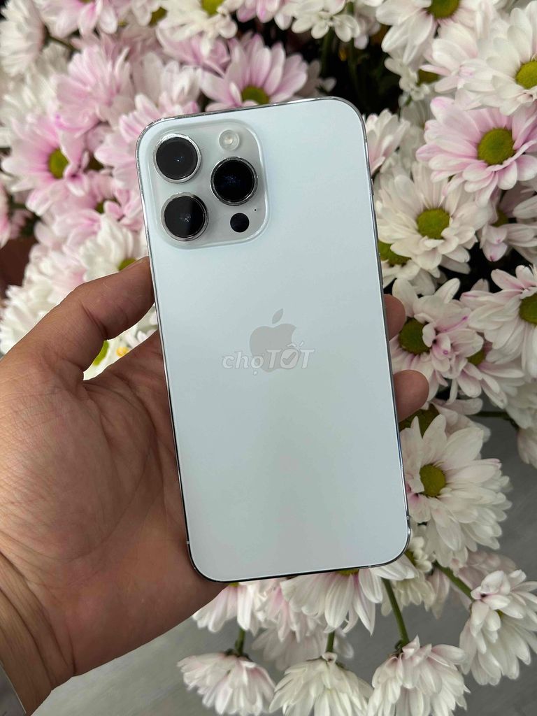 14 Pro Max 1024GB (1T) Qte Mỹ Pin New 100 chip A16. Mua bán Điện thoại tại Quận Ninh Kiều Cần Thơ được đăng bởi Quý Mobile Cần thơ hình 1