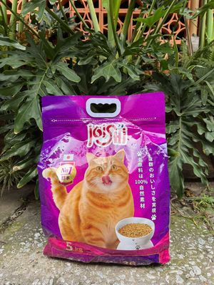 Thức ăn cho mèo Joishi 1kg Nhật Bản. Mua bán Phụ kiện, Thức ăn, Dịch vụ tại Quận Hoàng Mai Hà Nội được đăng bởi Thu Sẽ Gầy