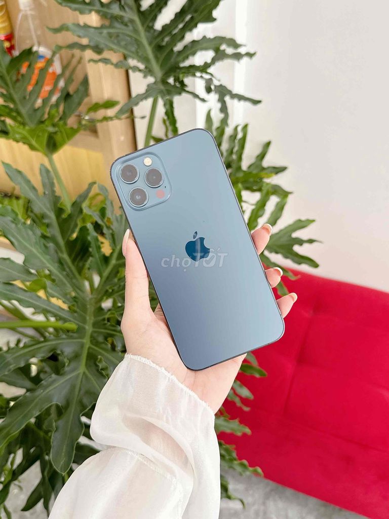 iPhone 12 Pro Max 256GB. Mua bán Điện thoại tại Thành phố Đà Lạt Lâm Đồng được đăng bởi Ngọc Nhi  hình 1