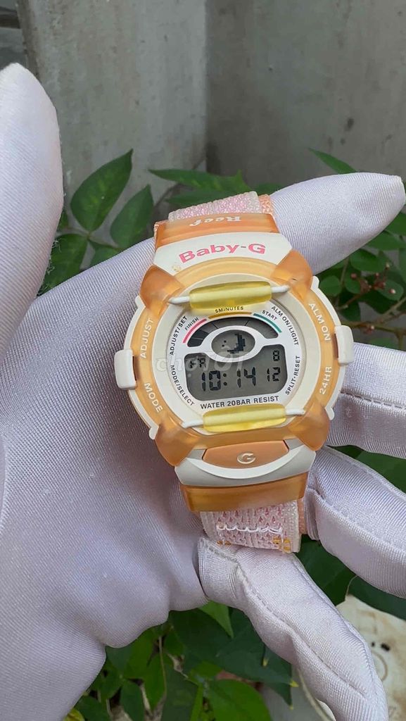 đồng hồ casio