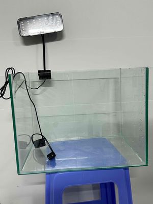 Hồ cá. Mua bán Phụ kiện, Thức ăn, Dịch vụ tại Quận Cái Răng Cần Thơ được đăng bởi Tuấn