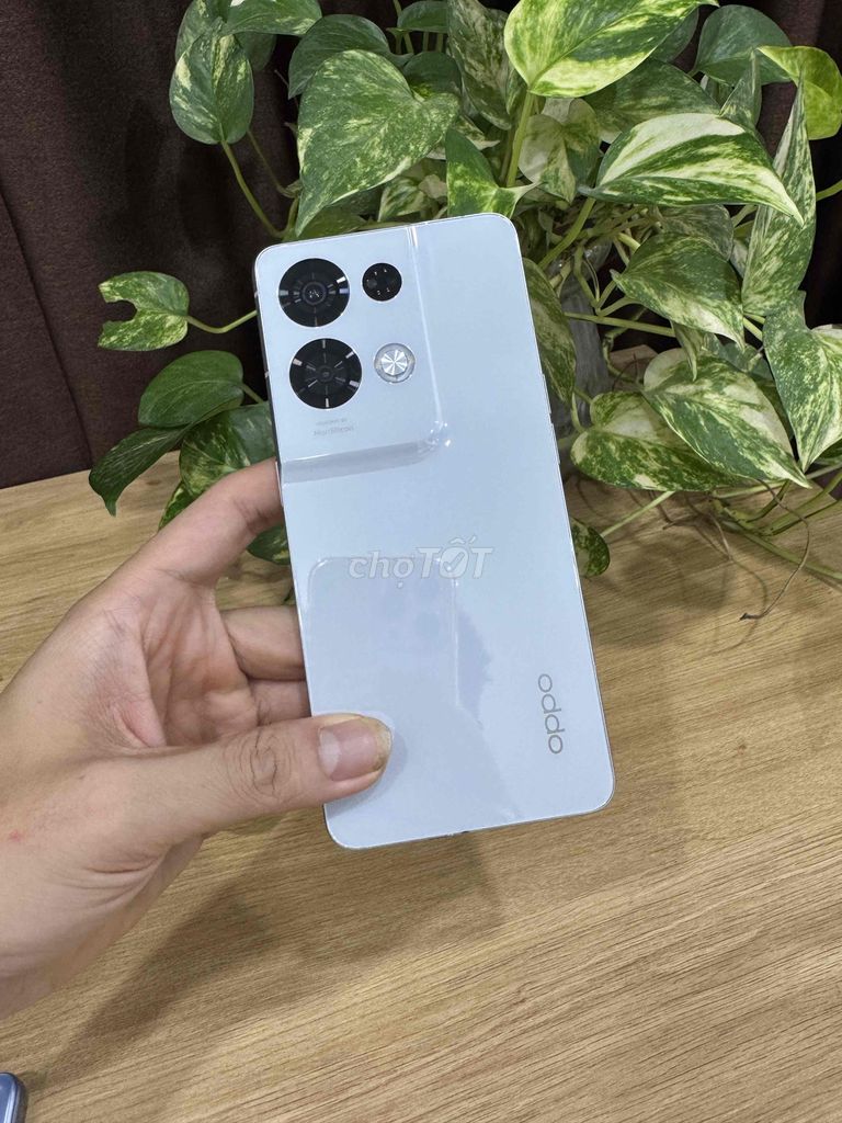 Oppo Reno 8 Pro Plus 12GB/256GB QUỐC TẾ có cod. Mua bán Điện thoại tại Quận Hoàng Mai Hà Nội được đăng bởi Gia Vinh hình 1