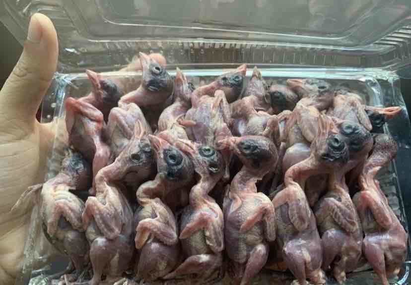 Sẻ thịt đồng 100% tự nhiên. Mua bán Đồ ăn, thực phẩm và các loại khác tại Quận Nam Từ Liêm Hà Nội được đăng bởi Nguyễn Như  hình 1