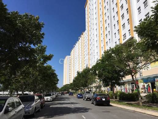 Tìm người ở ghép