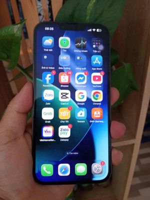 iPhone 13 Pro Max gl