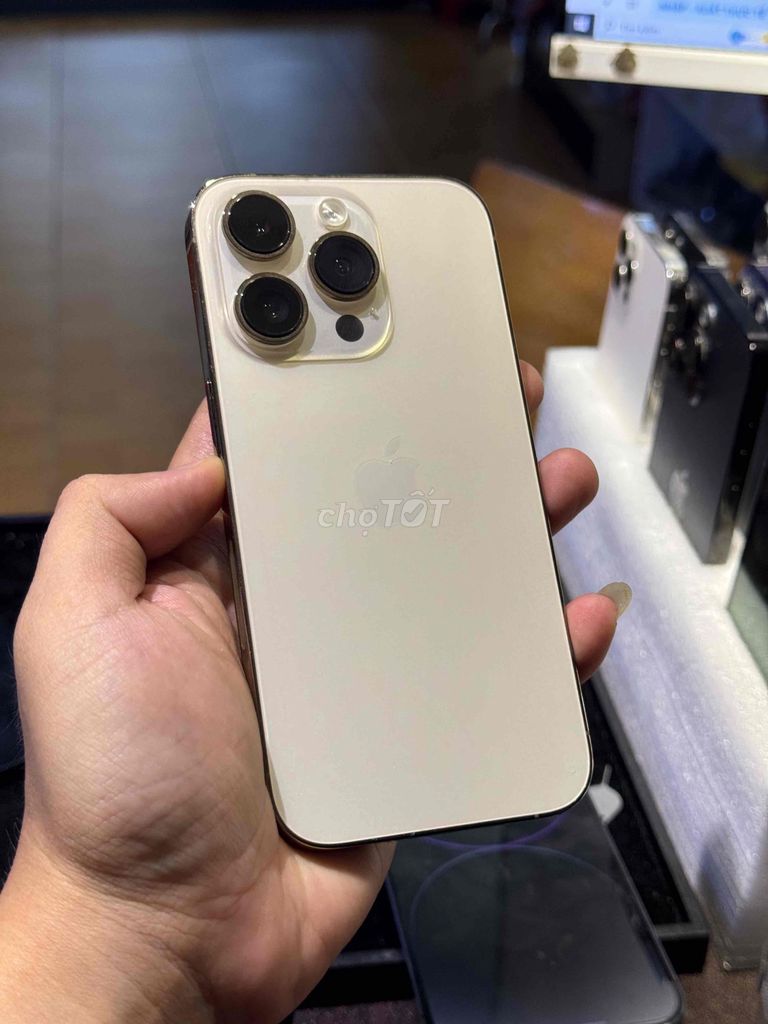 iphone 14pro Vàng Đã sử dụng zin pin 100. Mua bán Điện thoại tại Thành phố Thủ Đức Tp Hồ Chí Minh được đăng bởi Minh Sang Store Góp Bao Nợ Xấu hình 1