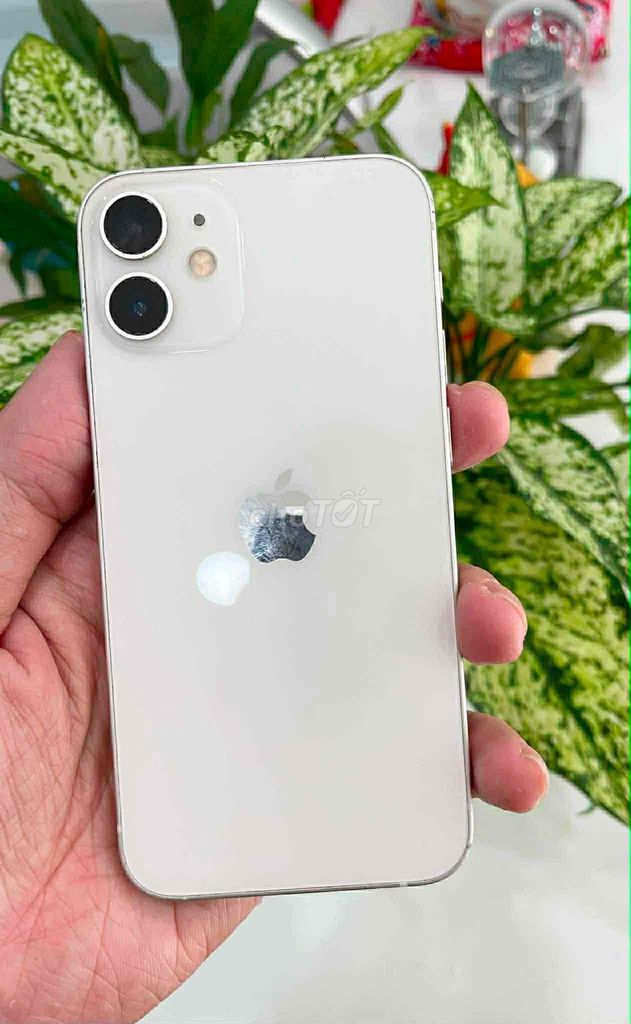 Apple iPhone 12 mini 64GB Trắng 76%. Mua bán Điện thoại tại Quận Gò Vấp Tp Hồ Chí Minh được đăng bởi hvv hình 1