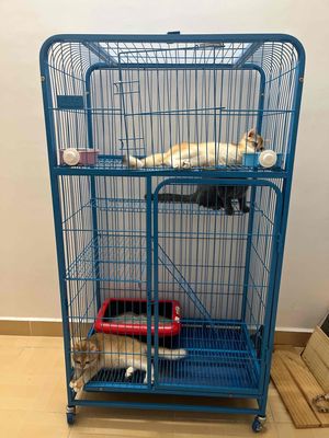 chuồng lớn nhỏ cho mèo. Mua bán Phụ kiện, Thức ăn, Dịch vụ tại Quận Cái Răng Cần Thơ được đăng bởi Vương