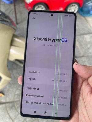 Xiaomi Mi 11T 256GB Xanh