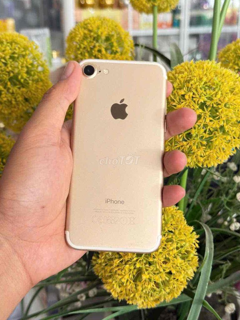 iPhone 7 quốc tế 32GB