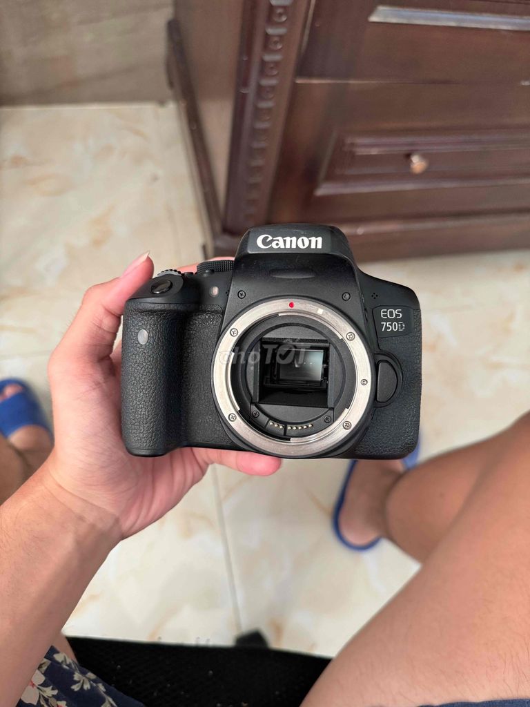 Máy ảnh canon 750d lens 50 1.8stm. Mua bán Máy ảnh, Máy quay tại Thành phố Long Xuyên An Giang được đăng bởi Lê Đức Trọng hình 1