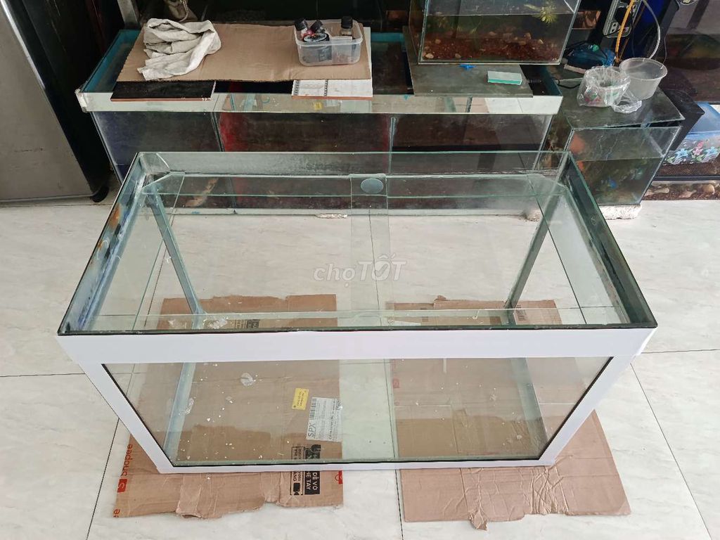 Bể cá Kính Trắng 80x40x50cm. Mua bán Phụ kiện, Thức ăn, Dịch vụ tại Quận Ninh Kiều Cần Thơ được đăng bởi Nguyen  van  lam  hình 1