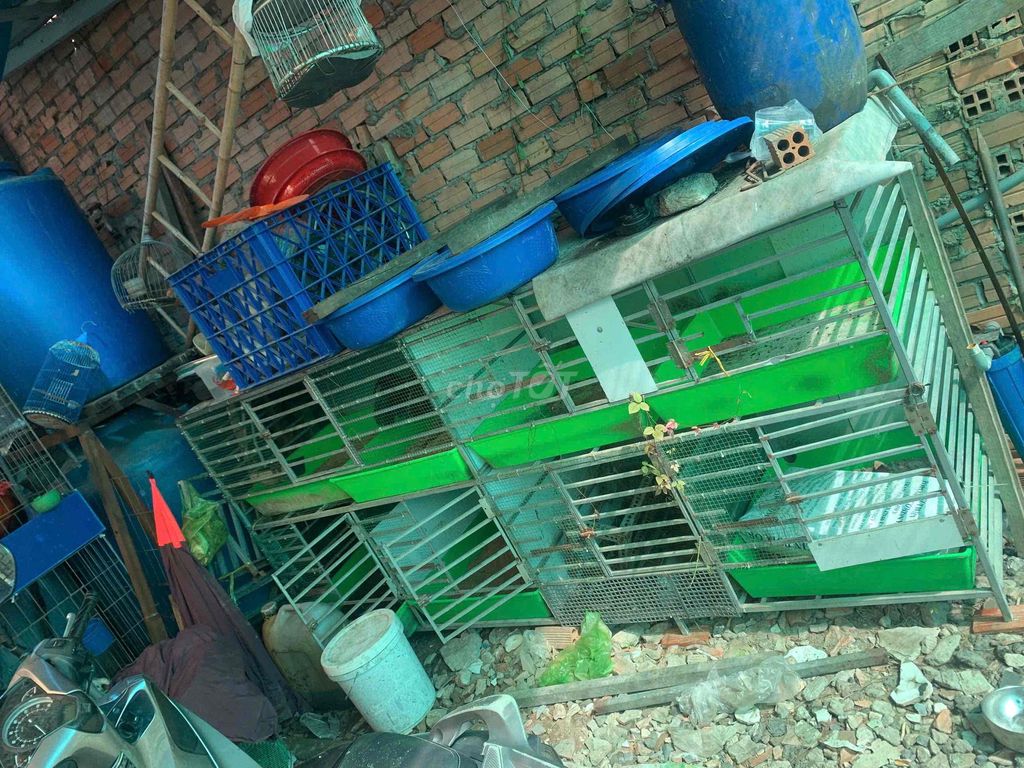 Chuồng nuôi Sắt vuông 8 chuồng Gà, chó, tre bắc. Mua bán Phụ kiện, Thức ăn, Dịch vụ tại Quận Bình Tân Tp Hồ Chí Minh được đăng bởi tân hình 1