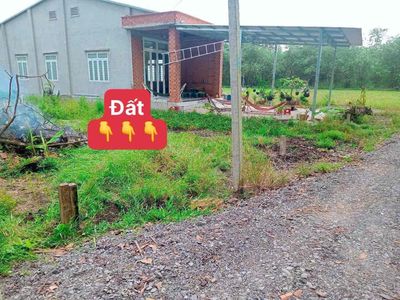 ĐẤT RẺ VỊ TRÍ ĐẸP 5x30 TC 100m SHR 410TR NHÀ DÂN SÁT BÊN HIỆP THẠNH. Mua bán đất tại Huyện Gò Dầu Tây Ninh được đăng bởi NHÀ ĐẤT TÂY NINH