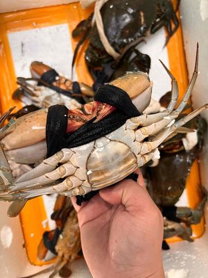 Cua yếm vuông Cà Mau. Mua bán Đồ ăn, thực phẩm và các loại khác tại Quận Bình Tân Tp Hồ Chí Minh được đăng bởi ĐẶC SẢN CÀ MAU 