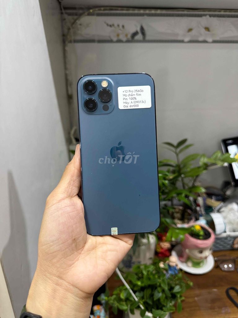 iPhone 12 Pro 256G Quốc tế blue màn xước phim nhỏ. Mua bán Điện thoại tại Huyện Hóc Môn Tp Hồ Chí Minh được đăng bởi Thu hình 1