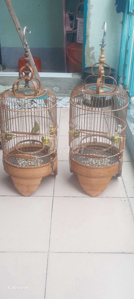 Thanh lý hai bộ chim khuyên nuôi được 5 tháng. Mua bán Chim tại Quận 10 Tp Hồ Chí Minh được đăng bởi kiệt hào  hình 3