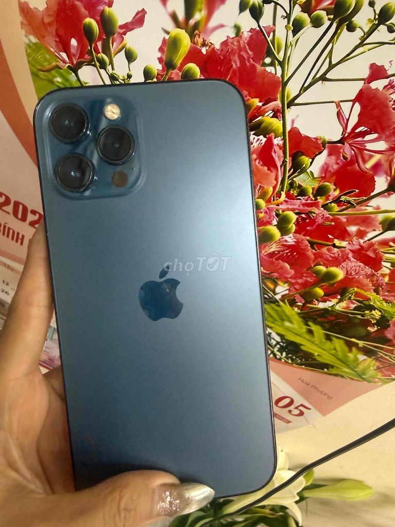 Apple iPhone 12 Pro Max 256GB Xanh zin full cn. Mua bán Điện thoại tại Quận Đống Đa Hà Nội được đăng bởi kim hình 1