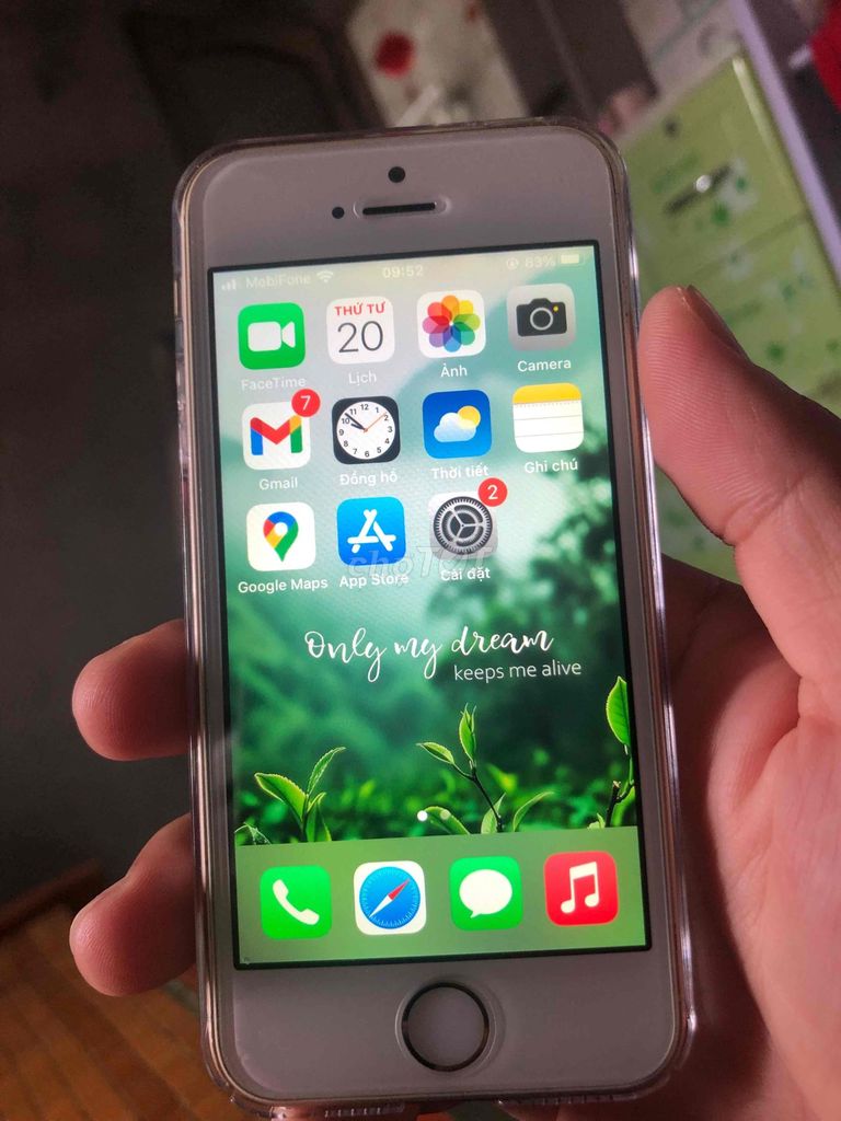 iPhone SE Vàng 64gb Đã sử dụng. Mua bán Điện thoại tại Huyện Phú Vang Thừa Thiên Huế được đăng bởi Phat Huynh Duy hình 1