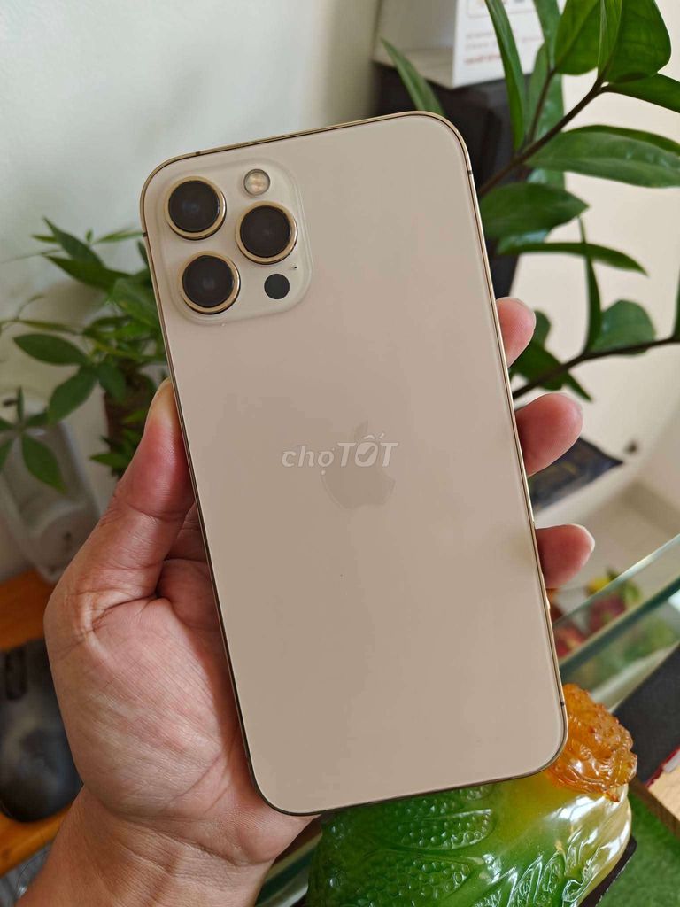 Apple iPhone 12 Pro Max 128GB Vàng. Mua bán Điện thoại tại Thành phố Vũng Tàu Bà Rịa - Vũng Tàu được đăng bởi HNam Mobile hình 1