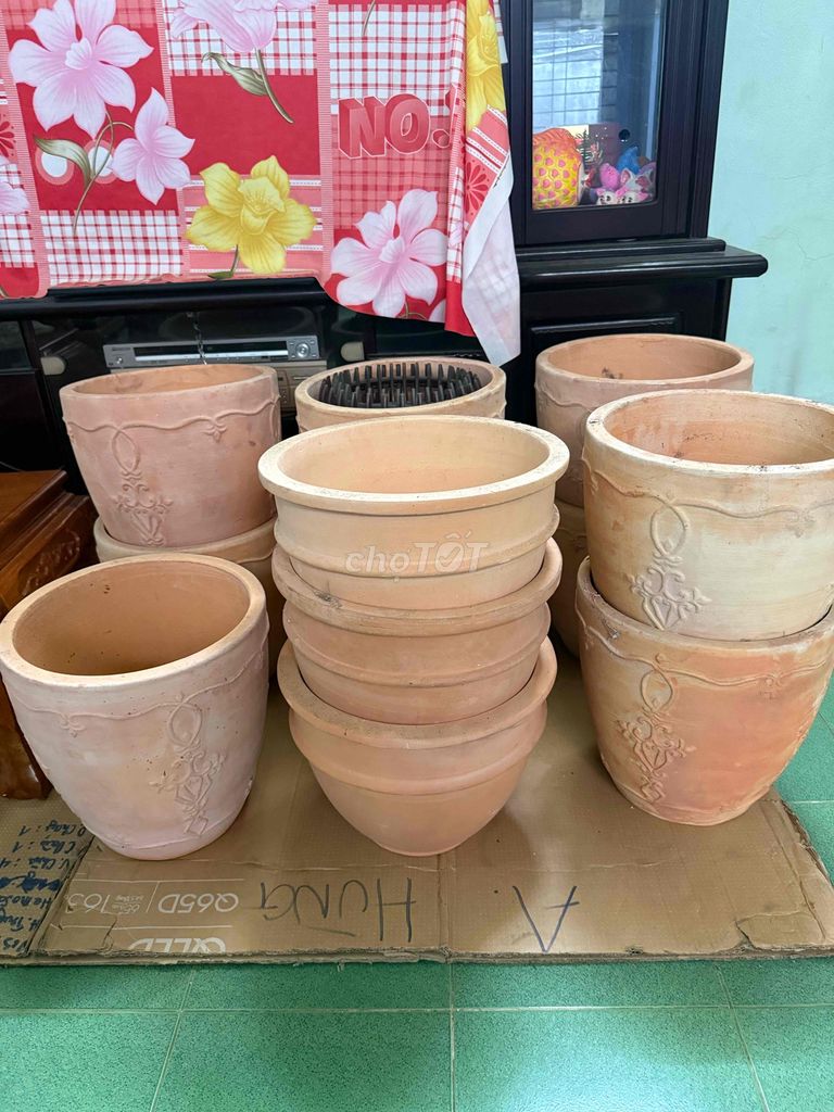 Chậu cây đất nung trang trí. Mua bán Cây cảnh, đồ trang trí tại Thành phố Bến Tre Bến Tre được đăng bởi Hung hình 1
