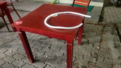 Bộ bàn ghế gỗ màu đỏ cao cấp 1 BÀN + 4 GHẾ. Mua bán Bàn ghế tại Quận Ninh Kiều Cần Thơ được đăng bởi Nhi