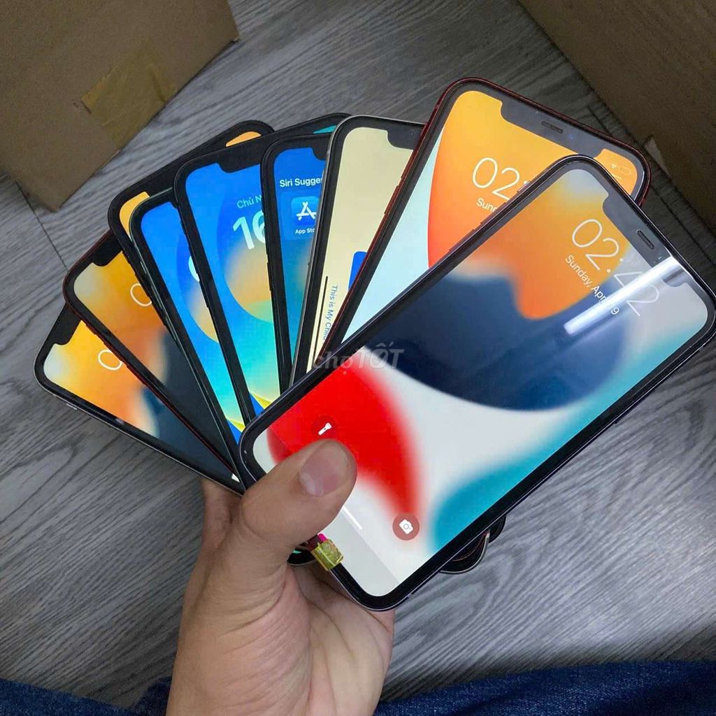 iPhone 11 Đủ màu 98% 2 Sim vật lí. Mua bán Điện thoại tại Quận Gò Vấp Tp Hồ Chí Minh được đăng bởi Nguyễn Văn Đông hình 1